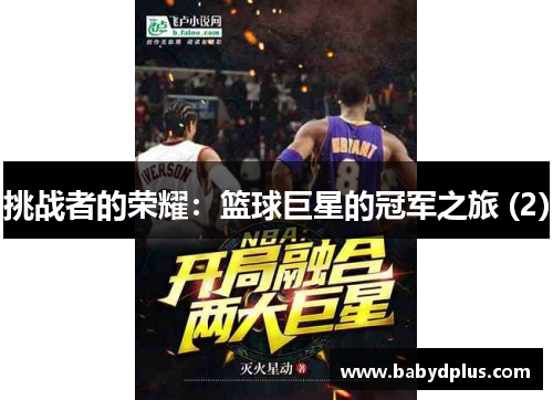 挑战者的荣耀：篮球巨星的冠军之旅 (2)