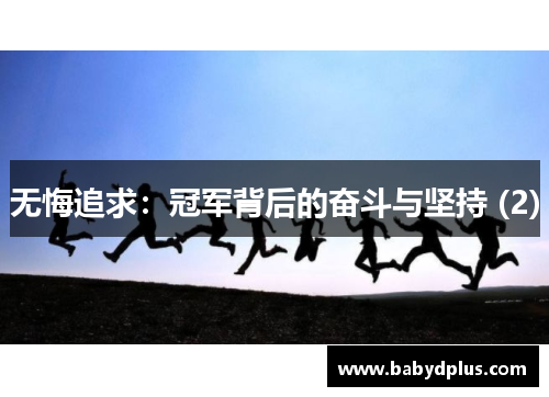 无悔追求：冠军背后的奋斗与坚持 (2)